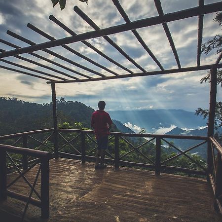 After The Rains - Rainforest Lodge Meppadi Екстер'єр фото