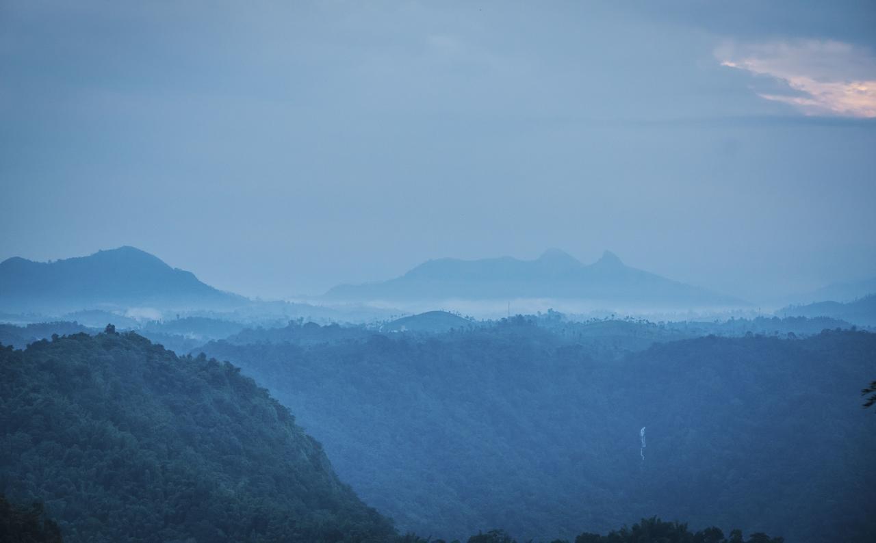 After The Rains - Rainforest Lodge Meppadi Екстер'єр фото