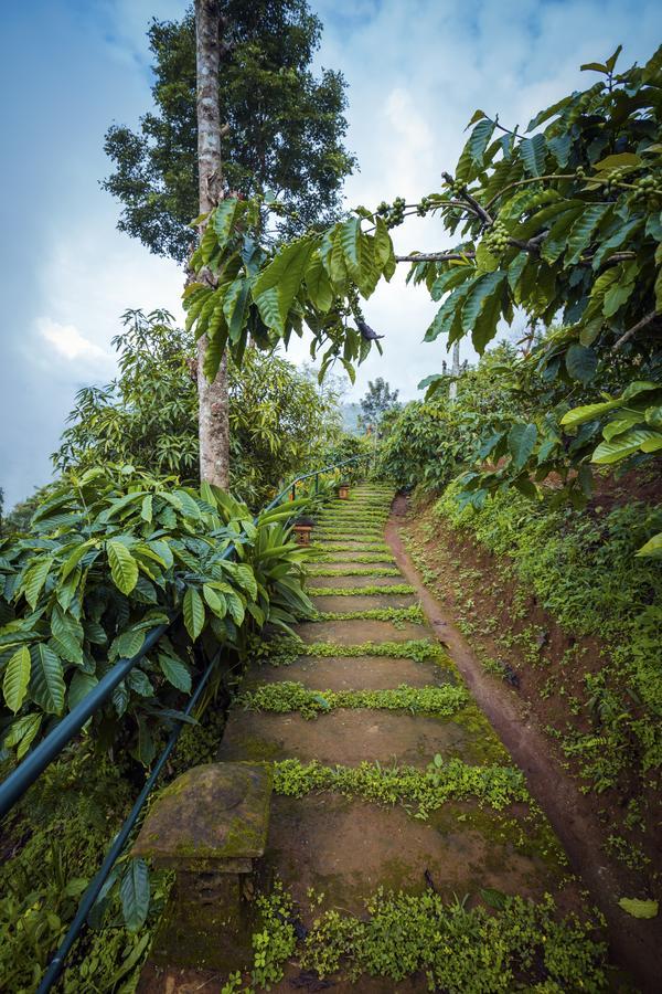 After The Rains - Rainforest Lodge Meppadi Екстер'єр фото